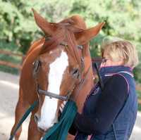 Bienvenue chez Equit'attelage