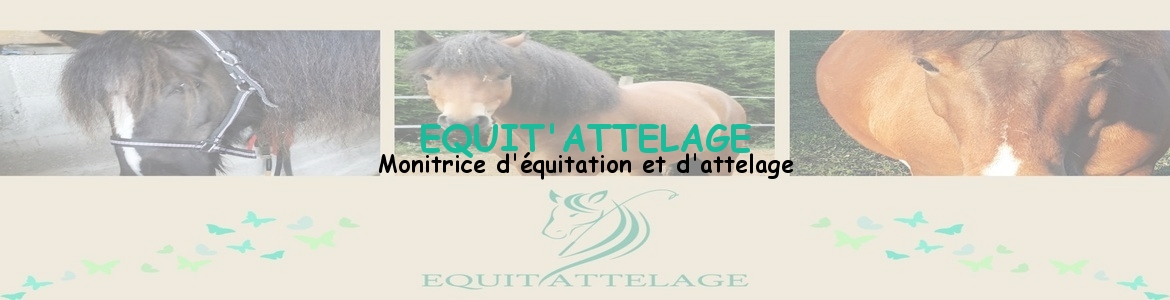 EQUIT'ATTELAGE